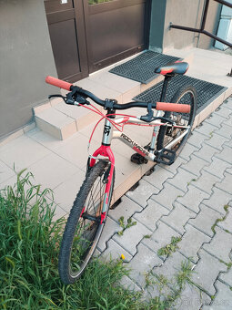 Kolo Rock Machine Thunder 24 - 3