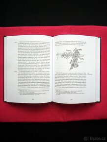 Tajemství barev - Steiner ( rozfoceno 6 snímků ) - 3