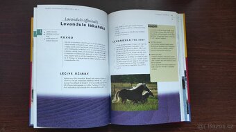 Knihy Koně , Kniha Encyklopedie Homeopatie - 3