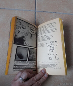 Kniha od Ericha von Danikena v angličtině - 3