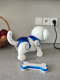 chodící a mluvící pejsek - 3