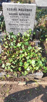 Hrobové místo na Olšanech - 3