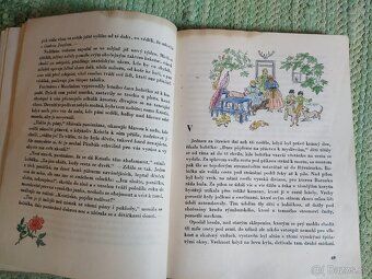 Kniha Babička - 3