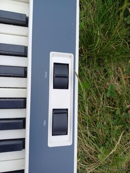 Stage piano STUDIOLOGIC NUMA COMPACT - 3