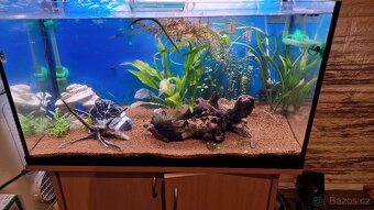 Prodám akvárium se skřínkou a vybavením 140L - 3