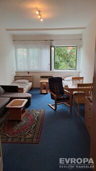 Pronájem bytu na Pankráci, 1+kk, 25m2 - 3