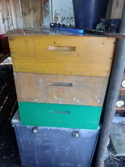 Prodám vcelstvo - 3