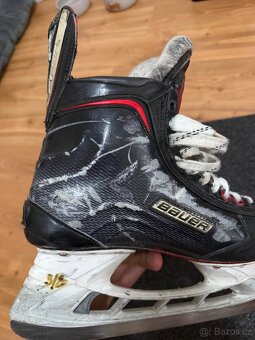 Brusle Bauer Vapor 1x - 3