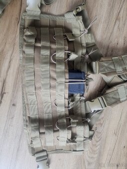 Chestrig coyote - 3