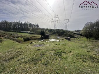 Prodej pozemků se dvěma rybníky, 15 233 m2 - Hradec u Stoda - 3