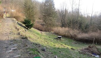 Rodinný dům či dva apartmány - Desná - 3