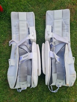 CCM eflex 6 - 3
