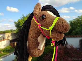 Hobby horse - 3