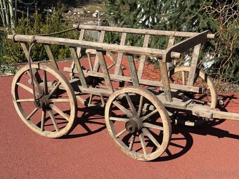 Starý žebřiňák - 3