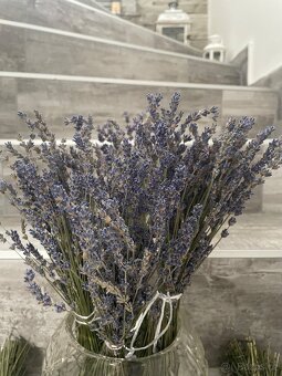 Sušená levandule svazky - 3