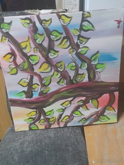 Obrazy a obrázky - 3