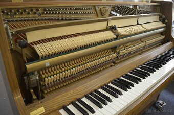 SAMICK - Doprava ZDARMA. Záruka 2 roky. - 3