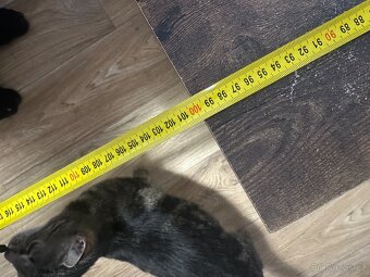 Konferenčni stůl - 3