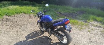 Honda Hornet 600 35KW A2 - 3