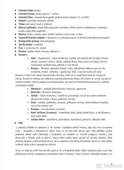Maturitní rozbory četby z českého jazyka - 3