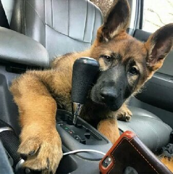 Oprava automatické převodovky a mechatroniky - 3