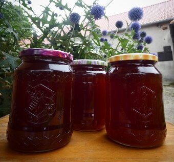 Prodám včelí med - květový i lesní a propolis - 3