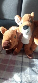 Plyšáci - zvířata z lesa - 3