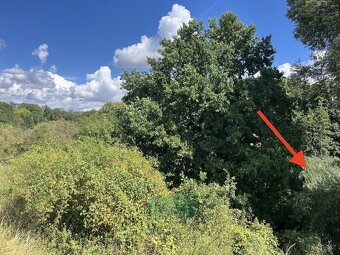 Prodej pozemky - trvalý travní porost, 698 m² - Praha - Král - 3