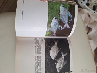 Velký obrazový atlas ryb - 3