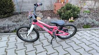 Kolo Arcore Sparrow 16 - 3