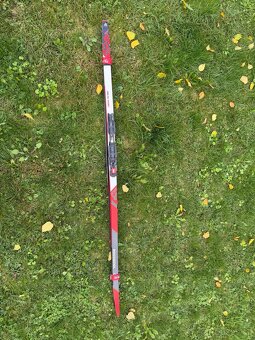 ROSSIGNOL DELTA SPORT BĚŽKY + VÁZÁNÍ - 3