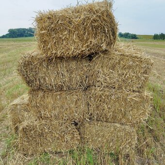 Malé hranaté balíky pšeničné slámy - 3