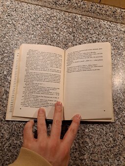 Jan Neruda - Obrázky - 3