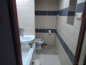 Pronajmu byt 1+1 JH Pravdova ulice - 3