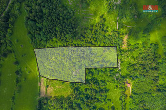 Prodej lesa, 29930 m², k.ú. Chuchelna - 3