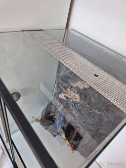 Terarium - 3