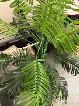 Umělá datlová palma v květináči – 130 cm - 3