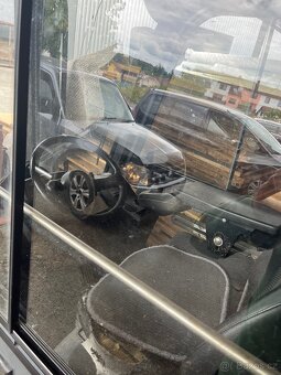 Ještěrka Toyota - 3