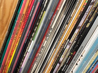 Prodám sbírku vinylů (LP desek) - hip-hop, jazz, CZ rap... - 3