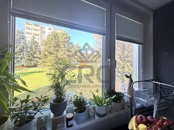 PRODEJ OV 1+1 S BALKÓNEM,  BRNO – KOHOUTOVICE - 3