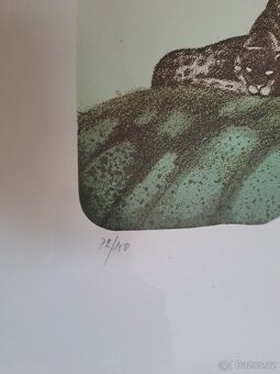 Renata Simlikova-litografie. - 3