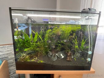 Akvarium - 3
