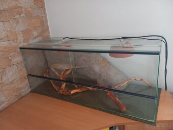 Terárium 100×40×40cm - 3