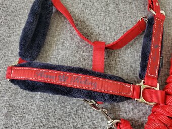 Ohlávka s vodítkem - 3