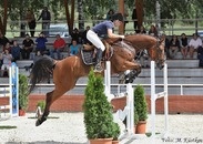 Klisna do chovu i sportu - 3