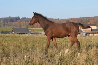 Tiebreak - letošní hřebeček - 3
