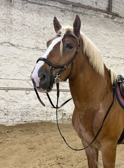 Uzdečka Rambo Micklem Competition 2, vel. Xfull - 3