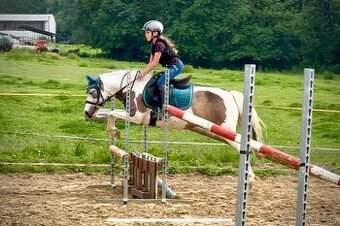 Pony kobylka 121 cm - 3