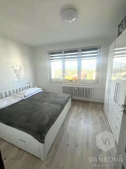 Pronájem bytu 1+1, Cvikov - 3