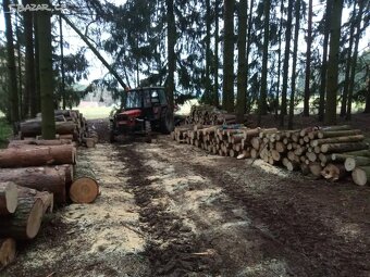 Palivové dřevo Příbram - 3